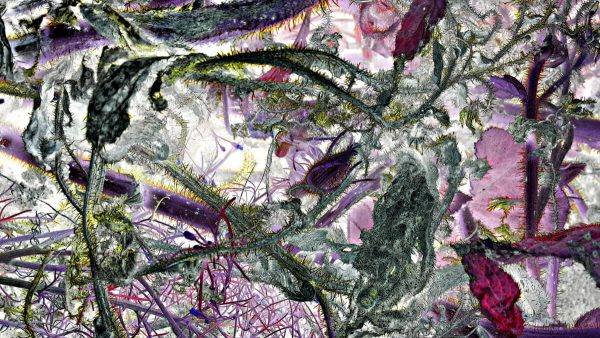 A Momentary Imbalance