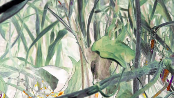 Its Nature Is Kindness