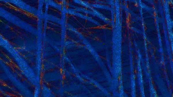 Mind Realizing Its Own Nature