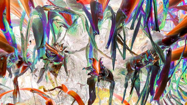 Once The Whole Is Divided; The Parts Need Names