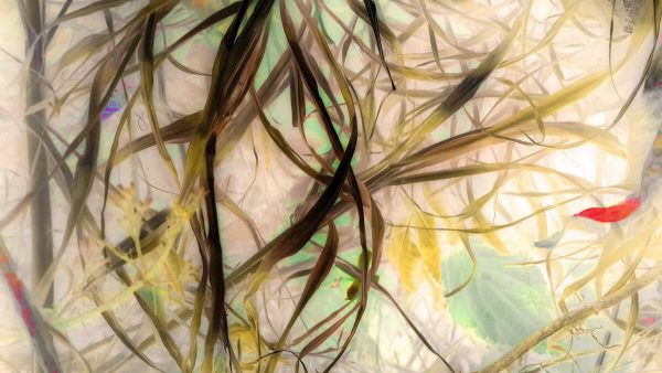 Returning To the Source Is Stillness, Which Is The Way Of Nature