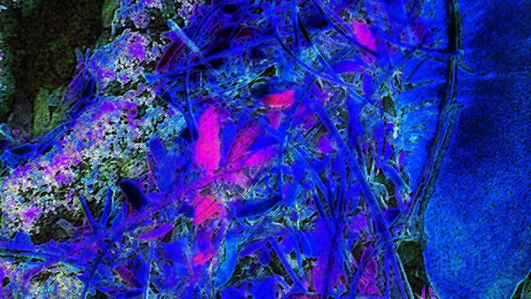 The Greatest Form Has No Shape