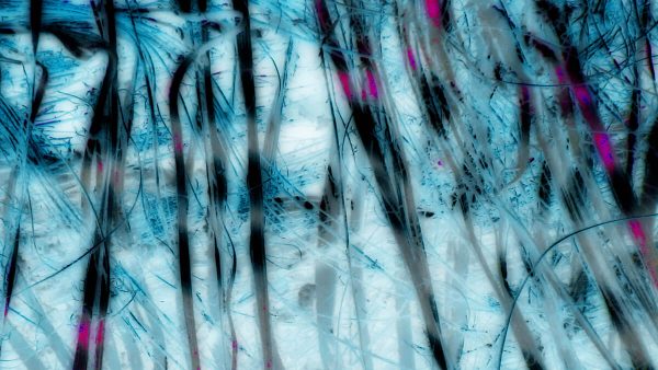 The Middle Of A Dream