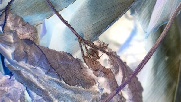 The Universe Has A Cosmic Breath