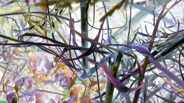 This Is The Way Of Heaven