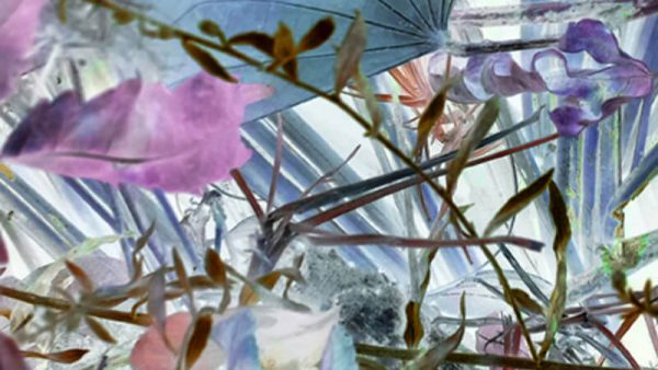 Your Joy, Then Must Be Uncountable