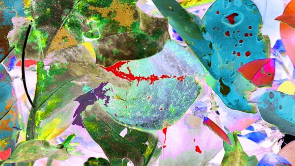 Instead of Seeing; Appreciate